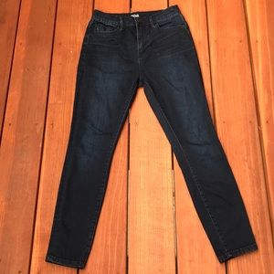 BDG Twig Grazer High-Rise Skinny Jean Dark wash 26